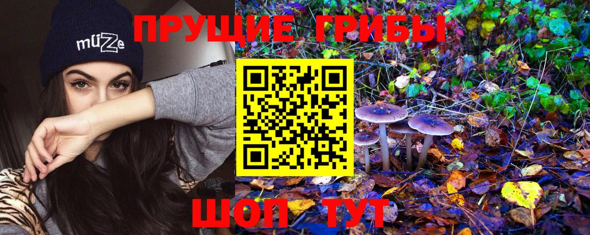 Псилоцибиновые грибы Cubensis Десногорск